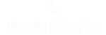 alternative